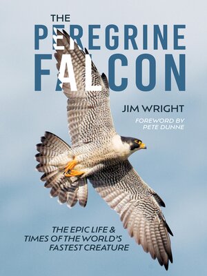 cover image of The Peregrine Falcon